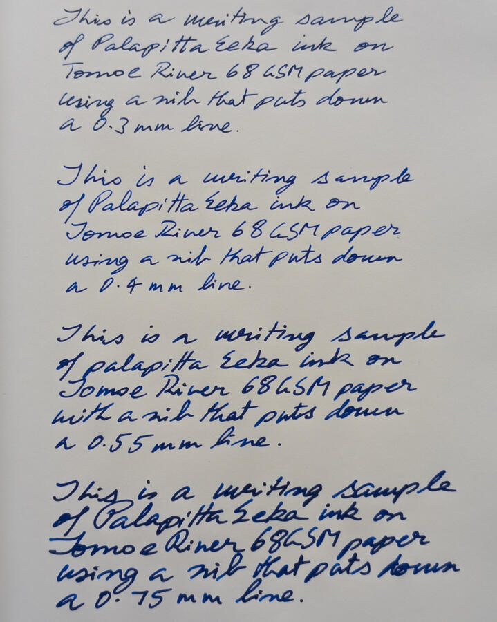 Writing Sample - Inks Inks Palapitta Eeka